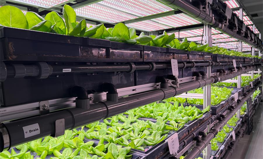 人工氣候室規劃設計